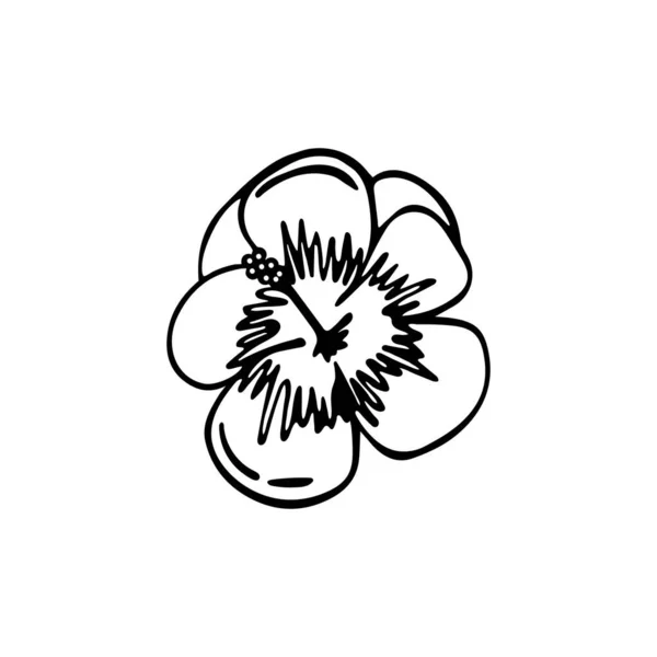 Hibiscus Line Artストックベクター ロイヤリティフリーhibiscus Line Artイラスト ページ 7 Depositphotos