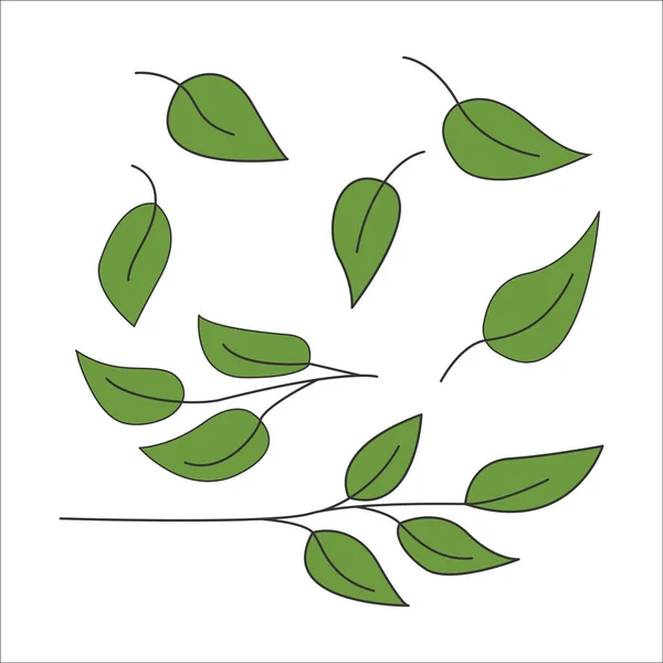 Ensemble Feuilles Vertes Simples Des Branches Dans Style Dessin Animé — Image vectorielle