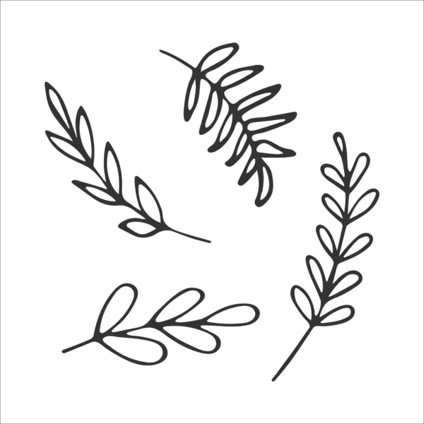 Cute Simple Hand Drawn Forest Branches Isolated White Background Vector — Stock Vector
