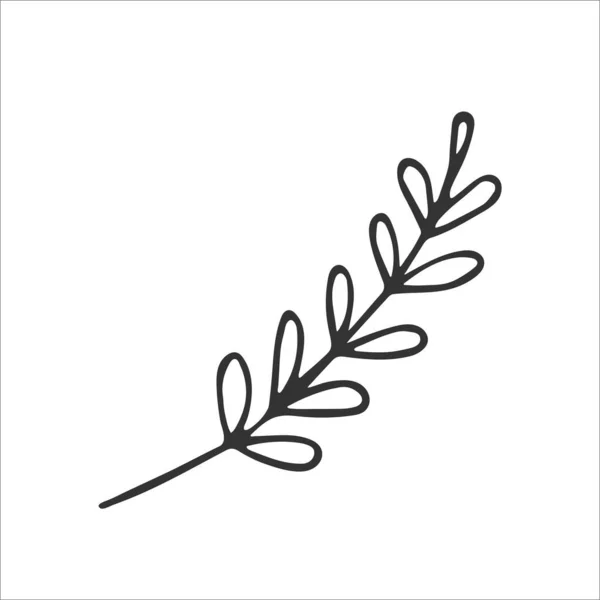 Jolie Branche Feuillage Simple Dessinée Main Isolée Sur Fond Blanc — Image vectorielle