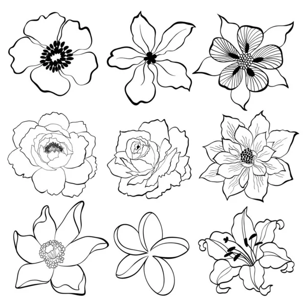 Çizimi Çiçeği Siyah Beyaz — Stok Vektör