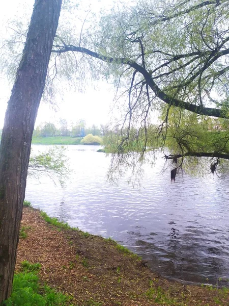 Baharda Moskova nehri