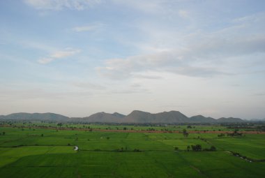 Yeşil pirinç bahçesinde dağ ve gökyüzü