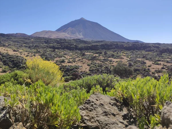 Pico Mais Alto Espanha Vulcão Teide — Fotografia de Stock