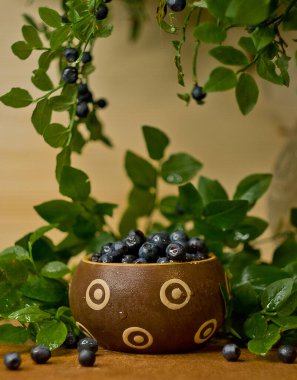 Yaban mersinli hayat