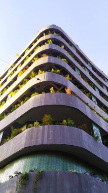 Yapımcı AnteJardin en el Poblado