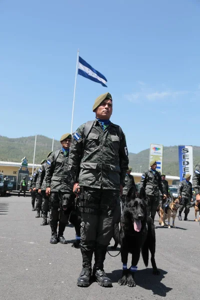 Entrenamiento Militar Con Canino — Foto de Stock