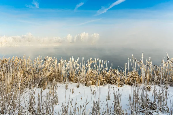 Frosty Téli Reggel Városon Kívül Fák Fagyban — Stock Fotó