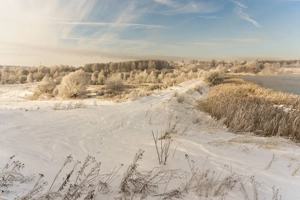 Frossen Vintermorgen Utenfor Byens Trær Frost – stockfoto