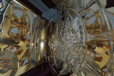 Botanik bahçesindeki doğal çiçek.