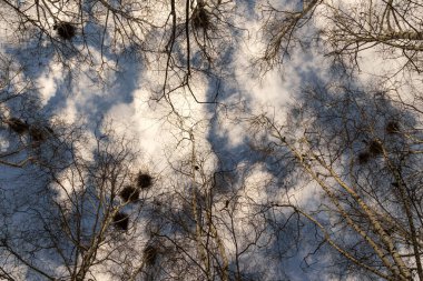Şehrin dışında harika bir bahar sabahı