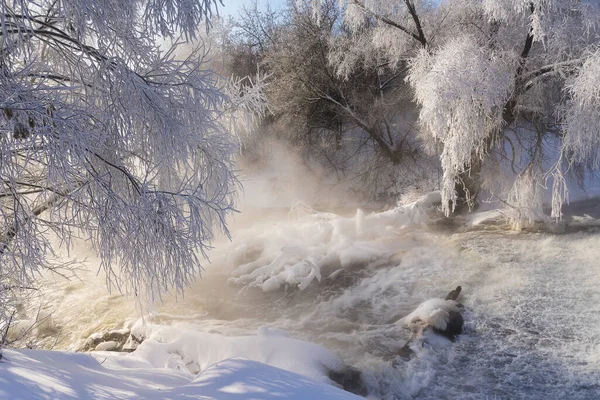 Buz Tutmuş Kış Sabahı Nehirdeki Ağaçların Yanında — Stok fotoğraf