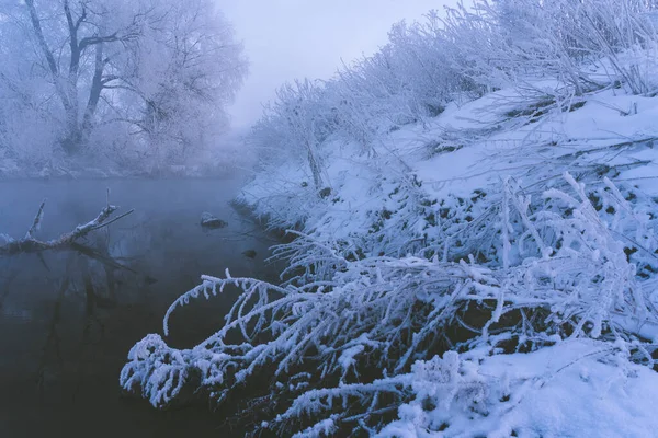 Frosty Mañana Invierno Por Los Árboles Del Río Las Heladas —  Fotos de Stock