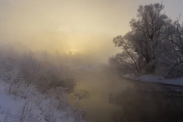 Frosty Mañana Invierno Por Los Árboles Del Río Las Heladas —  Fotos de Stock