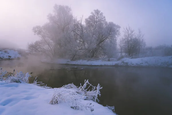 Frosty Winter Morning River Trees Frost — Stock Photo, Image