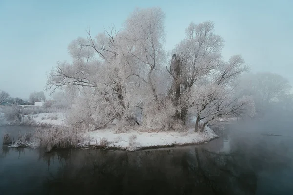 霜の街の木の枝の外の霜の冬の朝 — ストック写真