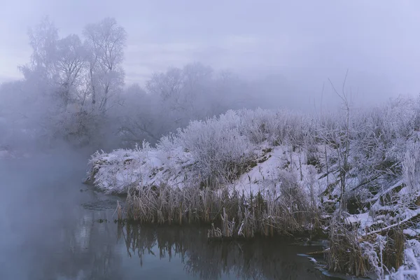 Frosty Winter Ochtend Buiten Stad Boom Takken Vorst — Stockfoto