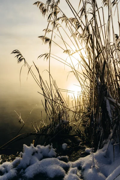 Frosty Winter Morning City — Stock Photo, Image