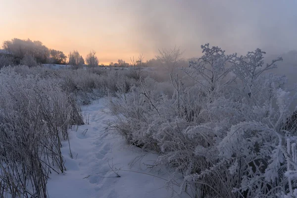 Frosty Matin Hiver Dehors Ville — Photo