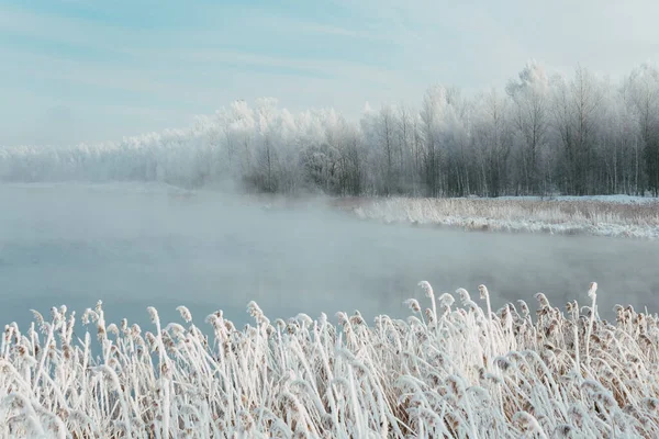 Belle Matinée Hiver Bord Rivière — Photo