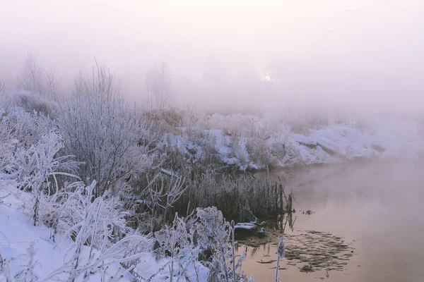 Frosty Winter Ochtend Buiten Stad Boom Takken Vorst — Stockfoto