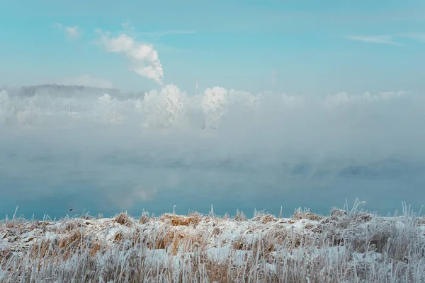 霜の街の木の外の霜の冬の朝 — ストック写真