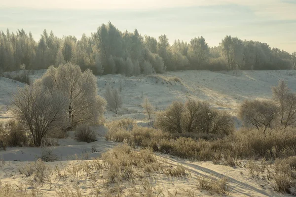 Frostiger Wintermorgen Vor Den Stadtbäumen Bei Frost — Stockfoto