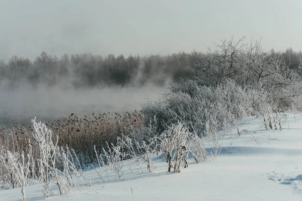 Piękny Zimowy Poranek Poza Miastem — Zdjęcie stockowe