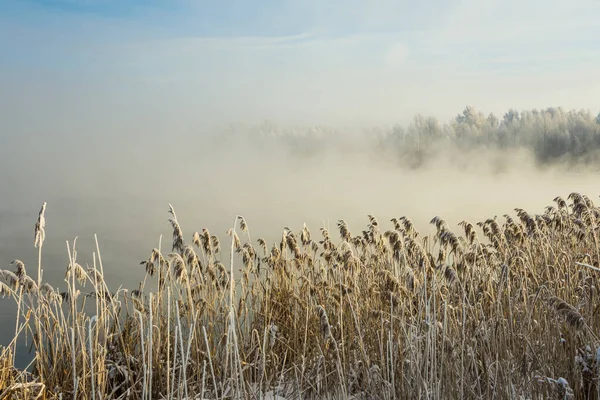 Vacker Vintermorgon Utanför Staden — Stockfoto