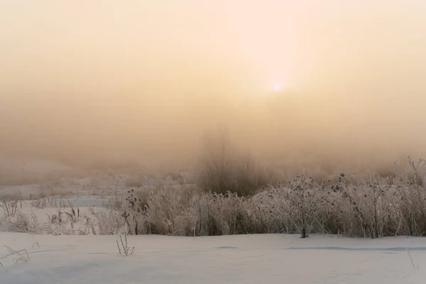 Prachtige Winterochtend Buiten Stad — Stockfoto