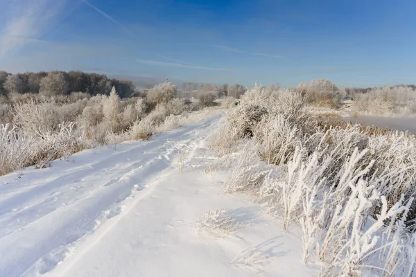 Frosty Vinter Morgon Utanför Stadens Grenar Frost — Stockfoto