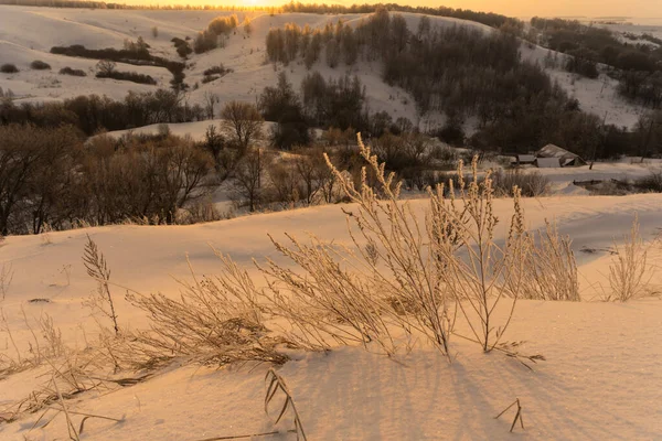 霜の街の枝の外の霜の冬の朝 — ストック写真