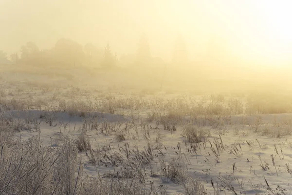 Prachtige Winterochtend Buiten Stad — Stockfoto