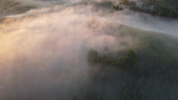Csodálatos Ködös Reggel Városon Kívül Felülről — Stock videók