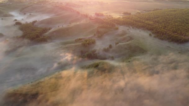 Splendida Mattina Nebbiosa Fuori Dalla Vista Della Città Dall Alto — Video Stock