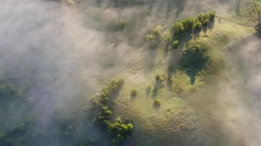 Şehir manzarasının dışından harika sisli bir sabah