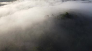 Şehrin dışında sisli bir sabah.