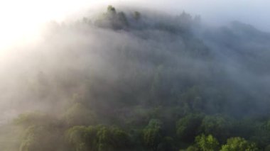 Şehrin dışında sisli bir sabah.