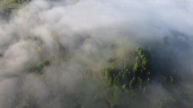 Şehrin dışında sisli bir sabah.