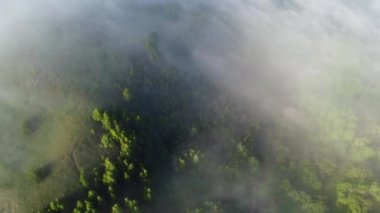 Şehrin dışında sisli bir sabah.