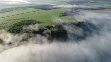 Şehrin dışında sisli bir sabah.