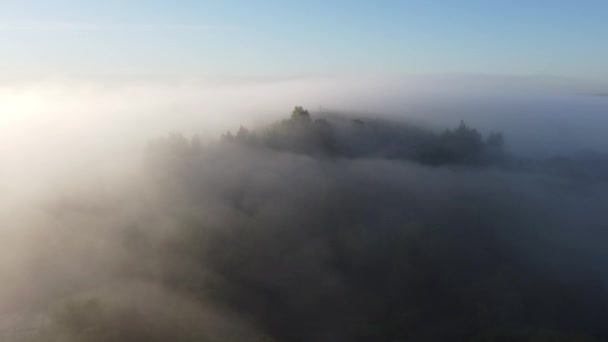 Maravilhosa Manhã Nebulosa Fora Vista Cidade Cima — Vídeo de Stock