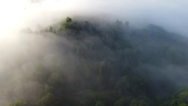 Mattina Appannata Fuori Dalla Città Vista Dall Alto — Video Stock