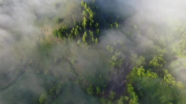 Ομιχλώδης Πρωί Έξω Από Την Πόλη — Αρχείο Βίντεο