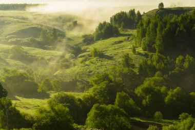 Şehir dışında sisli bir yaz sabahı