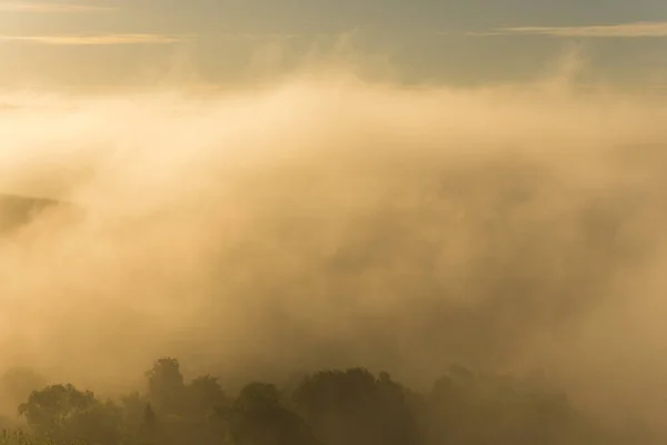 Summer Foggy Morning City — Stock Photo, Image