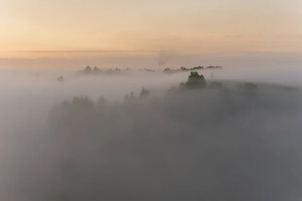 Летнее Туманное Утро Городом — стоковое фото