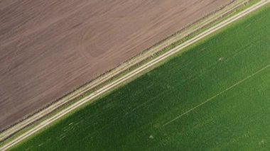 Bir tarım tarlasında harika bir bahar sabahı