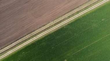Bir tarım tarlasında harika bir bahar sabahı