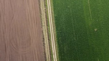 Bir tarım tarlasında harika bir bahar sabahı